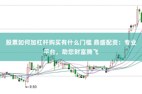 股票如何加杠杆购买有什么门槛 鼎盛配资：专业平台，助您财富腾飞