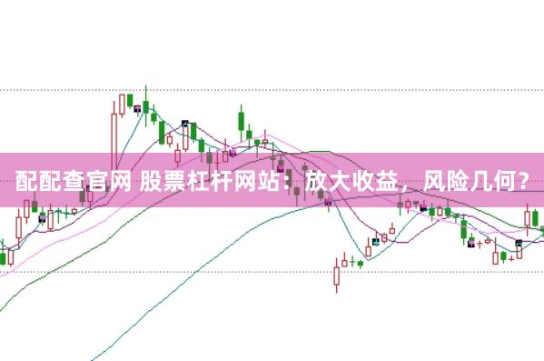 配配查官网 股票杠杆网站：放大收益，风险几何？