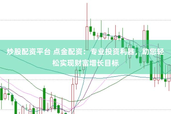 炒股配资平台 点金配资：专业投资利器，助您轻松实现财富增长目标