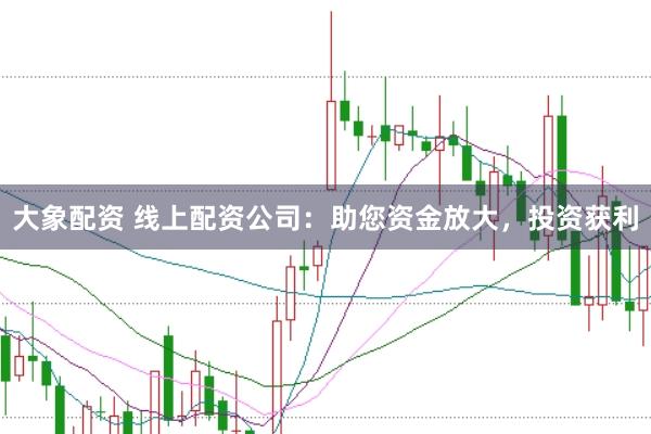 大象配资 线上配资公司：助您资金放大，投资获利