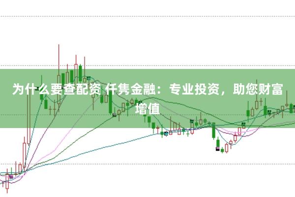 为什么要查配资 仟隽金融：专业投资，助您财富增值