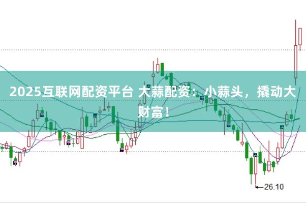 2025互联网配资平台 大蒜配资：小蒜头，撬动大财富！
