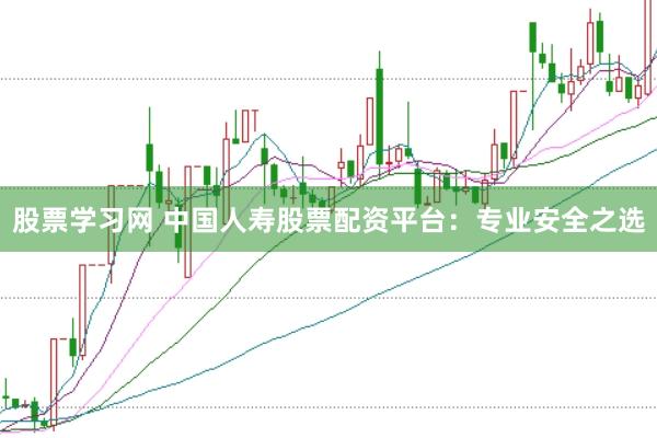 股票学习网 中国人寿股票配资平台：专业安全之选
