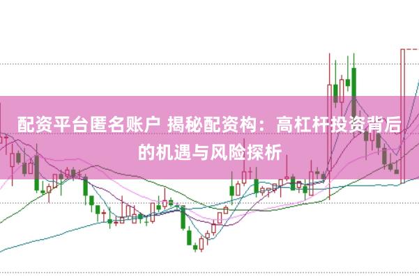 配资平台匿名账户 揭秘配资构：高杠杆投资背后的机遇与风险探析