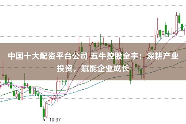 中国十大配资平台公司 五牛控股全宇：深耕产业投资，赋能企业成长