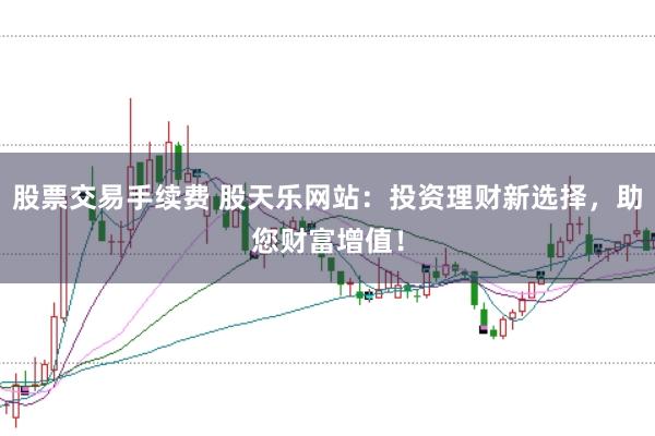 股票交易手续费 股天乐网站：投资理财新选择，助您财富增值！