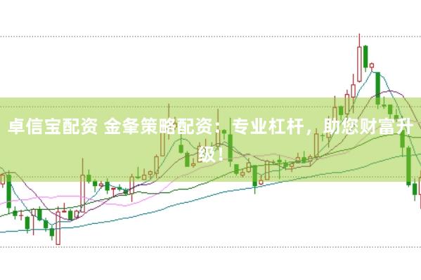 卓信宝配资 金夆策略配资：专业杠杆，助您财富升级！