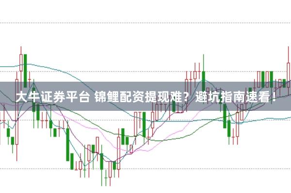 大牛证券平台 锦鲤配资提现难？避坑指南速看！