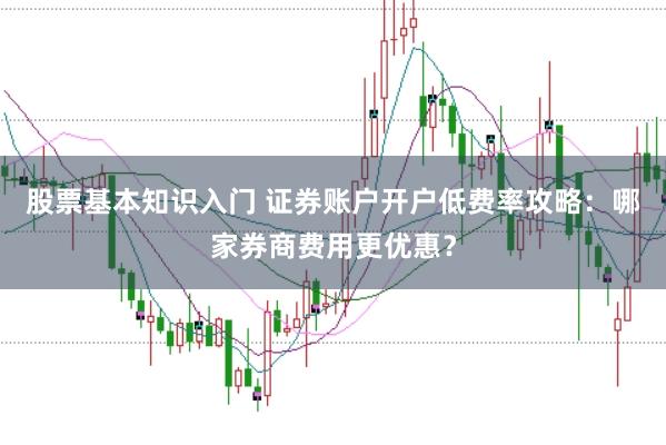 股票基本知识入门 证券账户开户低费率攻略：哪家券商费用更优惠？