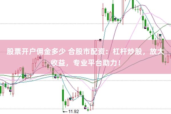 股票开户佣金多少 合股市配资:杠杆炒股,放大收益,专业平台助力!