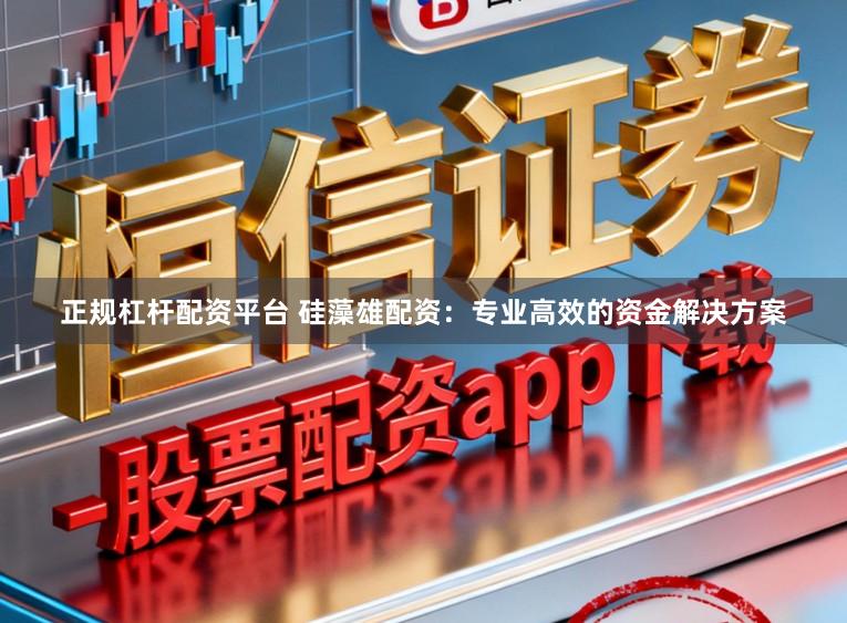 正规杠杆配资平台 硅藻雄配资:专业高效的资金解决方案